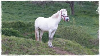 Vatout des Lauzieres 