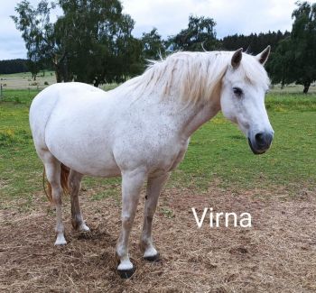 Virna